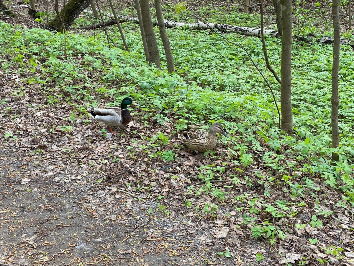    Фото: Светлана Лобова. UG.RU