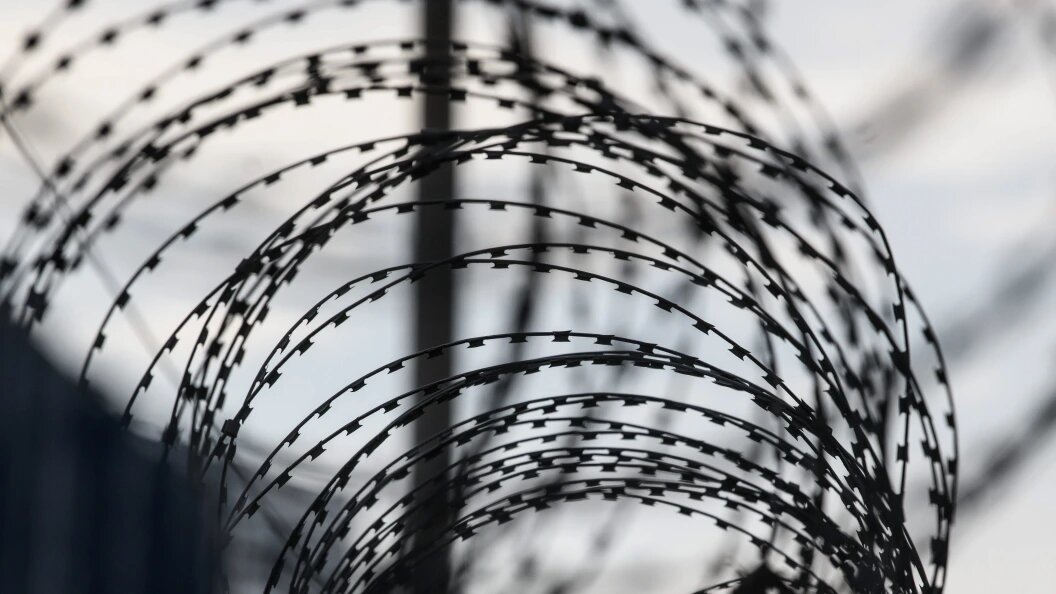    Фото: Ilya Moskovets/Globallookpress