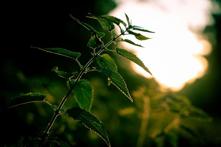    Фото: Katarzyna Zygnerska on Unsplash