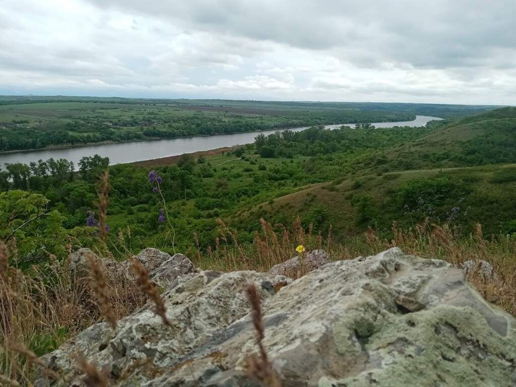   Фото: Н. Савина. Галина Ященко
