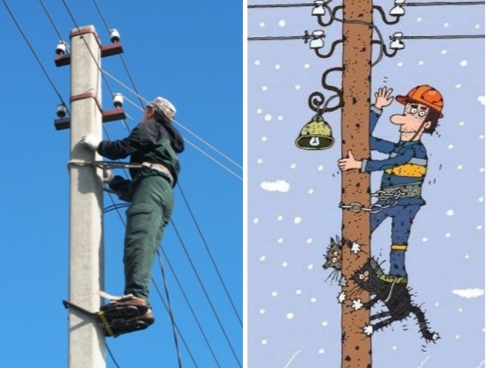 Фото из открытого источника в интернете.