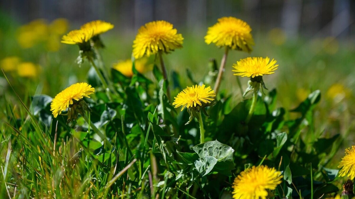     Источник: freepik.com