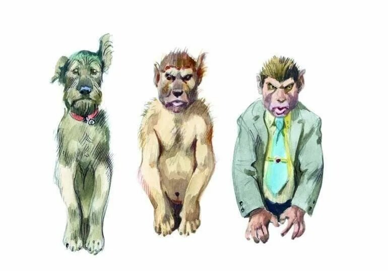 Изображение в свободном доступе