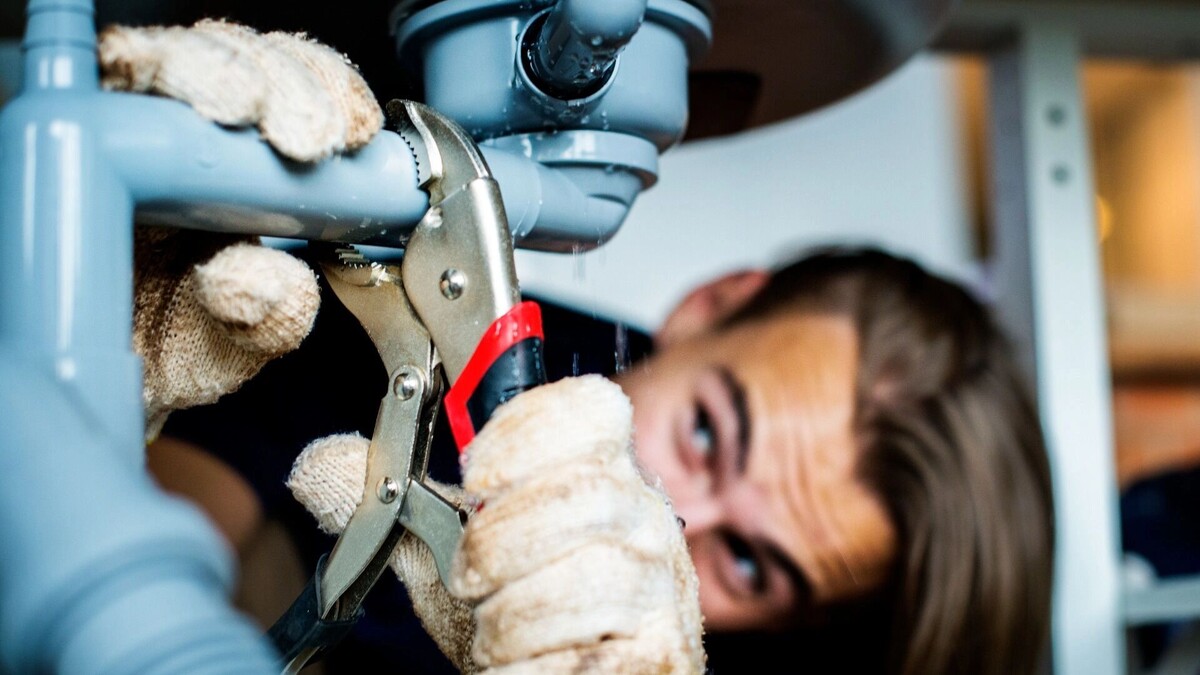     Источник: freepik.com