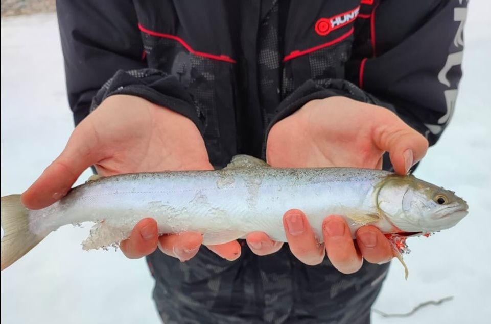 Были не только крупные... 