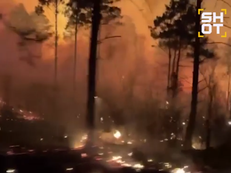    В регионе введён особый противопожарный режим. Согласно информации регионального МЧС, за последние сутки пожарно-спасательные подразделения 45 раз выезжали на ликвидацию возгораний. Общая площадь охваченных огнём территорий превысила 3 тысячи гектаров.