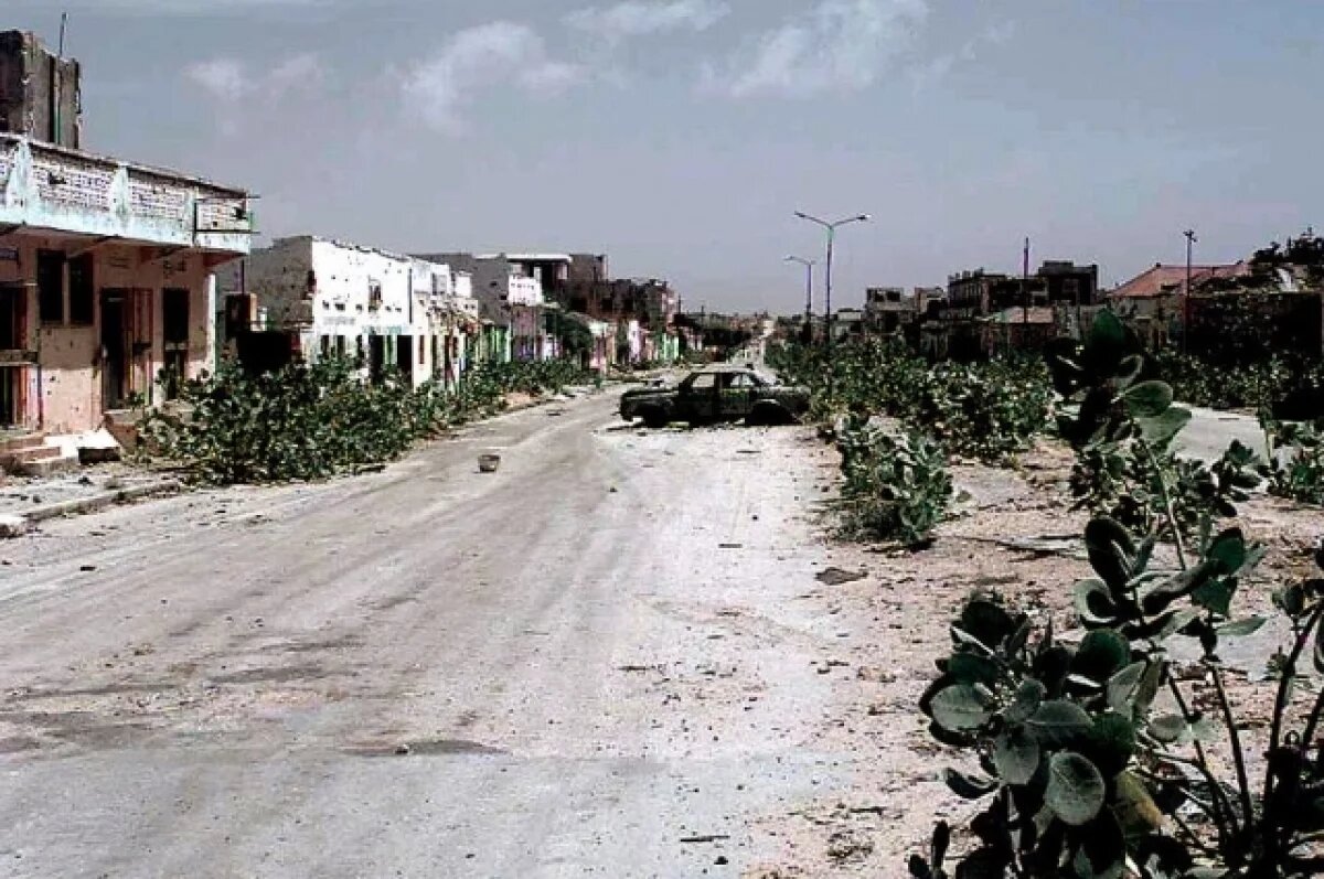    Вооруженные силы США нанесли ракетные удары по ячейке ИГИЛ в Сомали