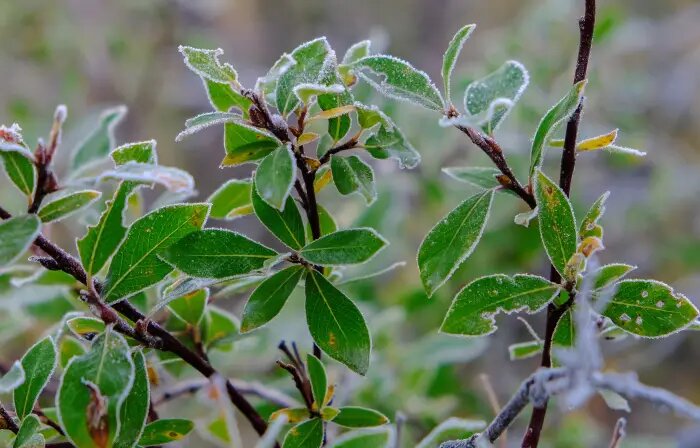     © РИА Новости. Павел Львов