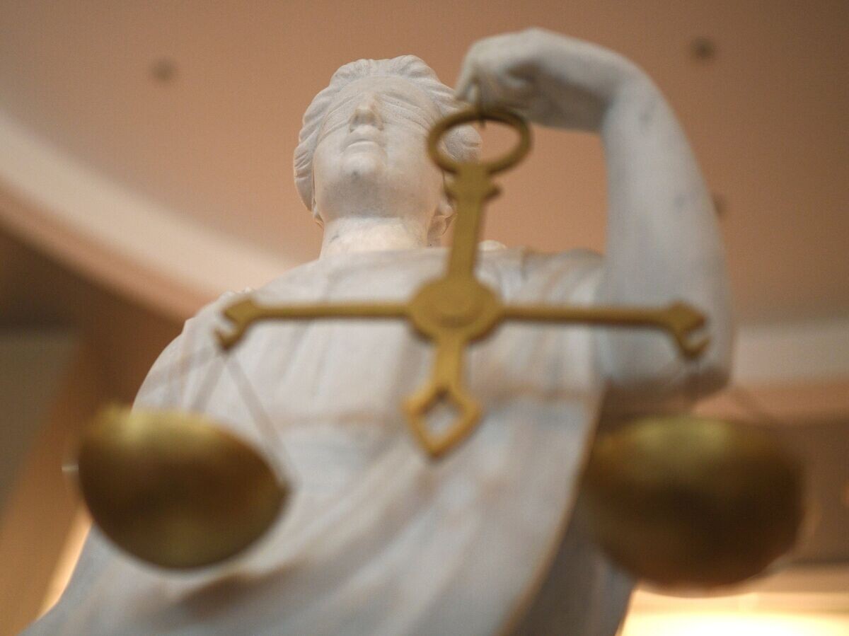    Статуя Фемиды в суде© РИА Новости / Владимир Астапкович