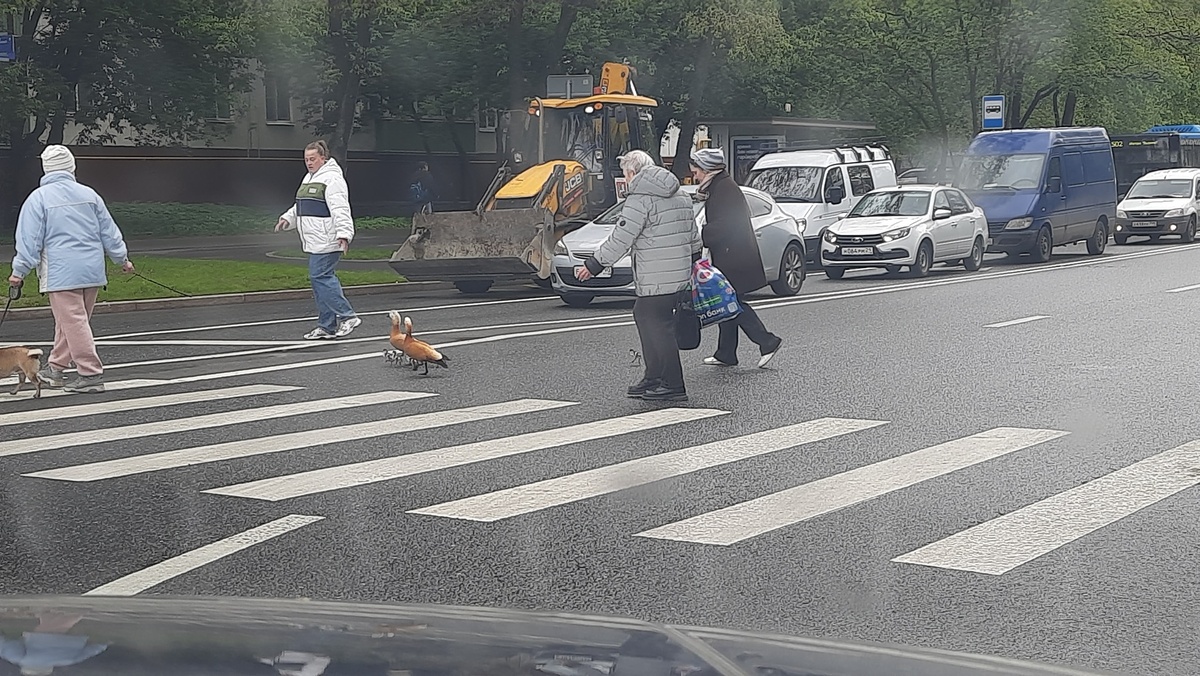    Фото: Надежда Акимова