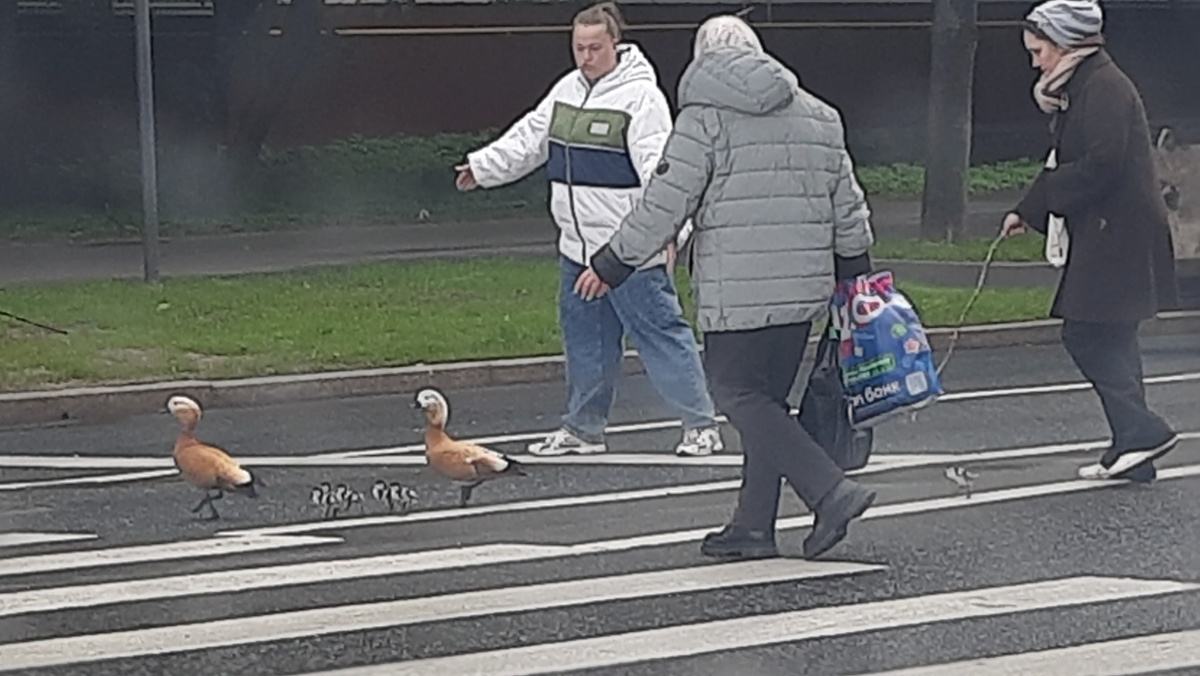    Фото: Надежда Акимова