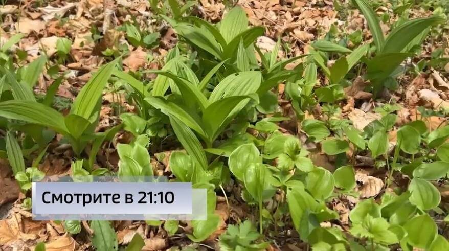    Источник фото: