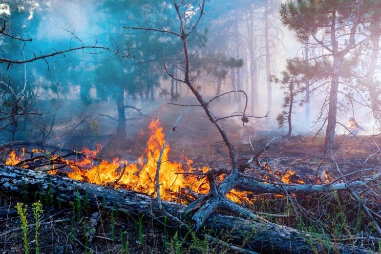    Shutterstock/FOTODOM