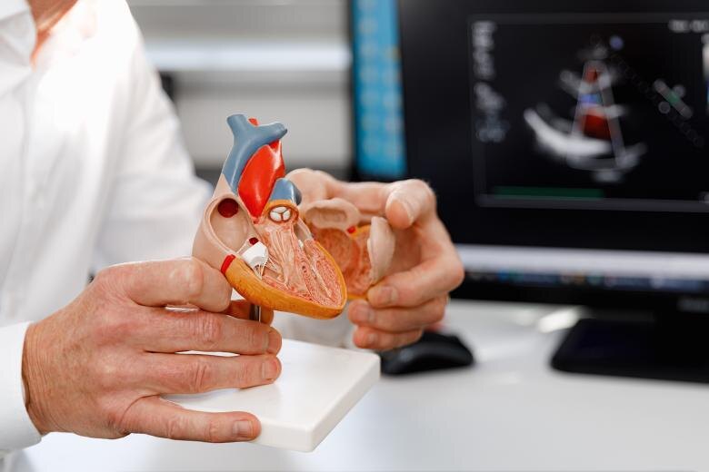    Shutterstock/FOTODOM