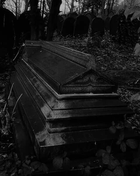 Изображение взято из открытых источников интернета. 