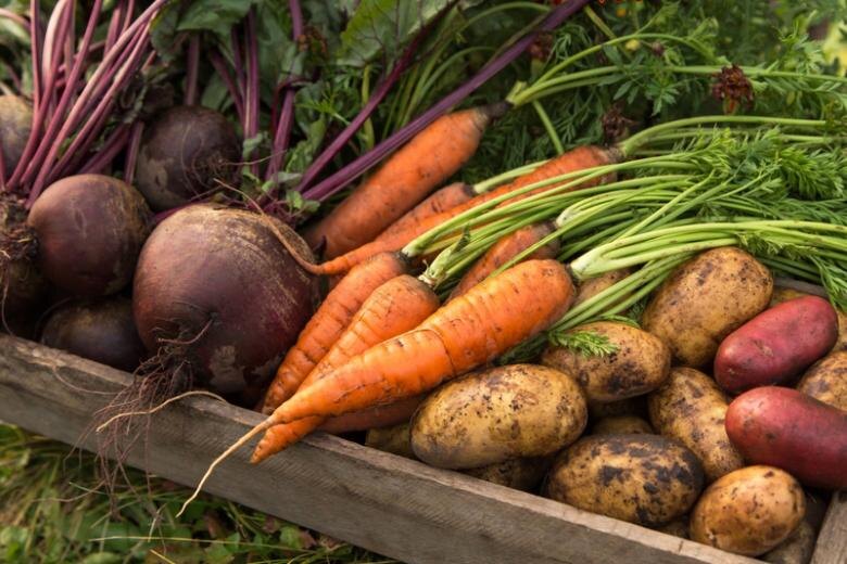    Shutterstock/FOTODOM