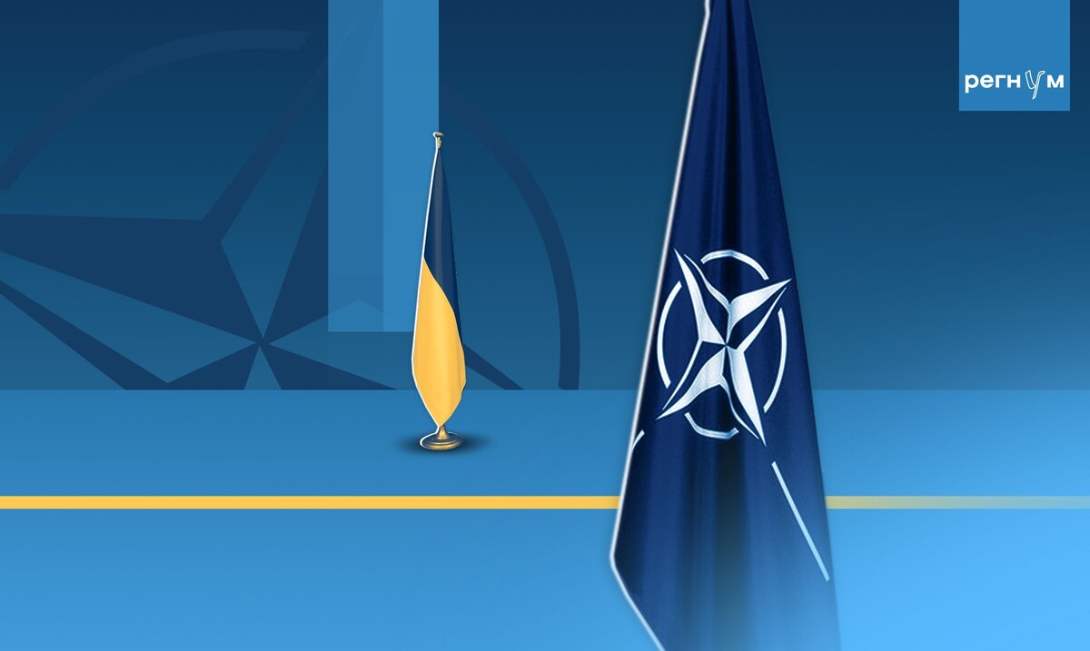    Украина, НАТО / Источник: © ИА Регнум