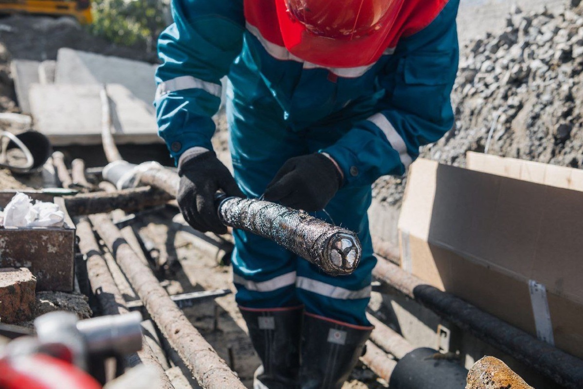    Фото: "Россети Новосибирск"