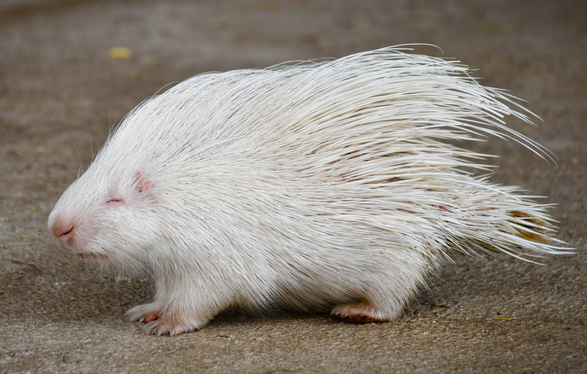 Валерия Калугина/ТАСС