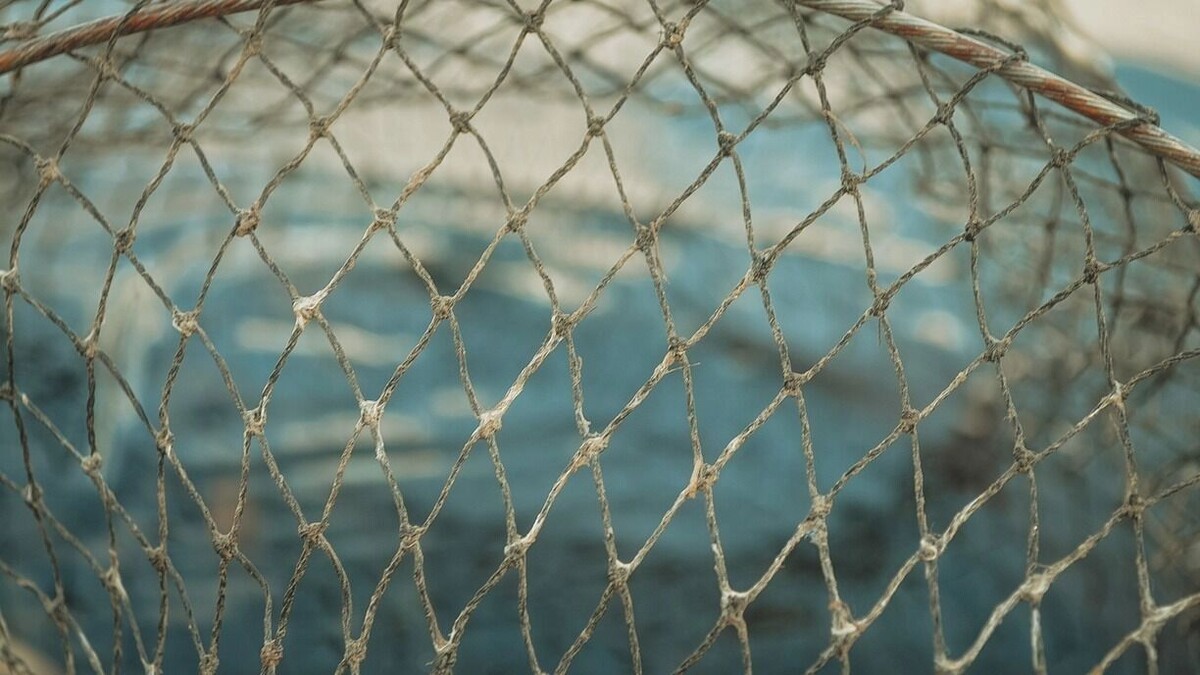     Источник: 1MI