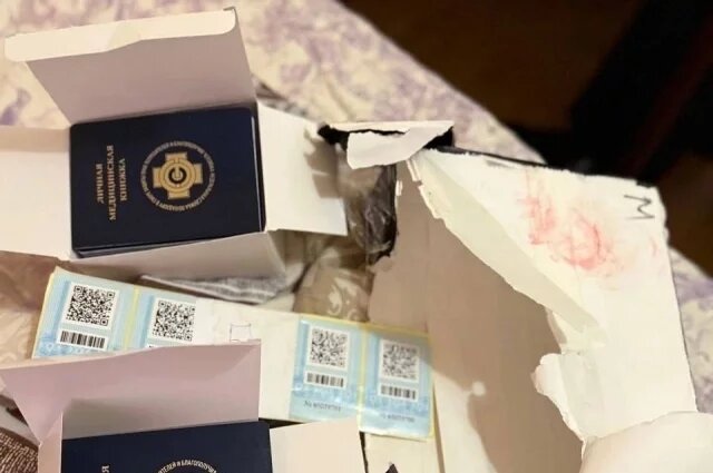    Что за ОПГ, обвиняемую в массовой подделке документов, поймали на Камчатке?