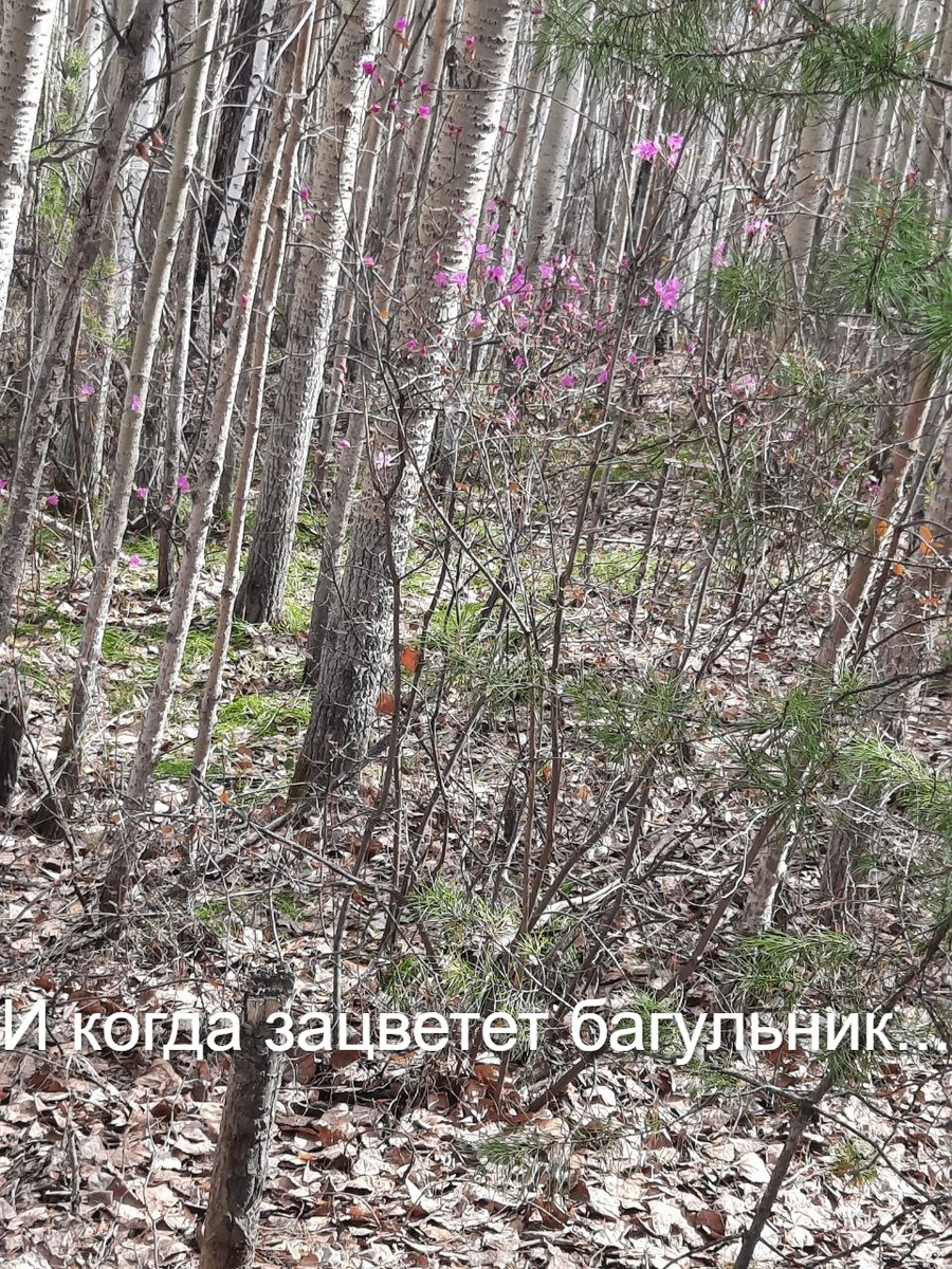 Фото автора.