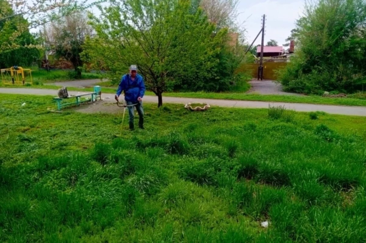    Косить сорную траву в Орске этим летом будут в два этапа