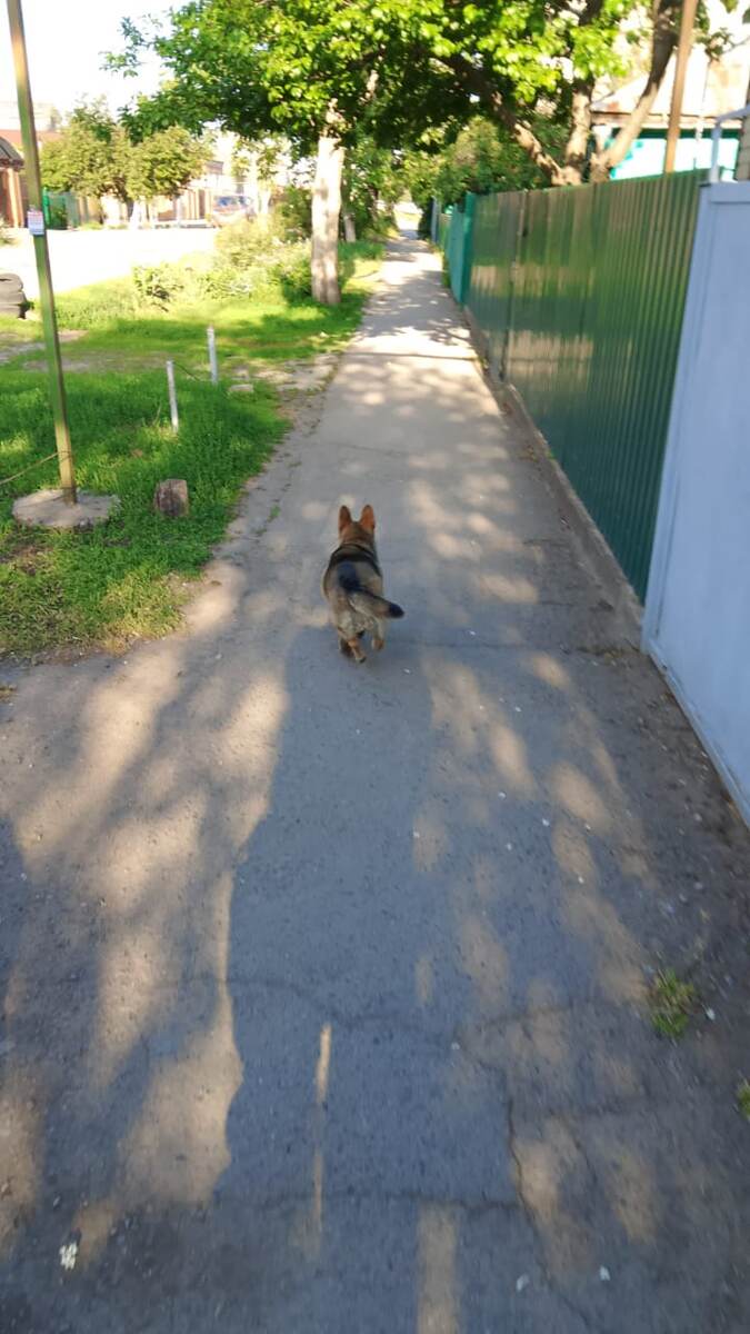 Фото автора