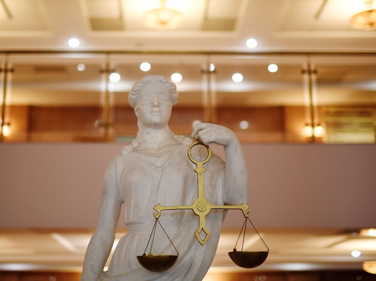    Статуя Фемиды в суде© РИА Новости / Владимир Астапкович