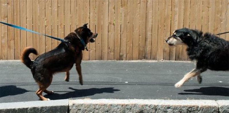 (тоже просто иллюстрация)