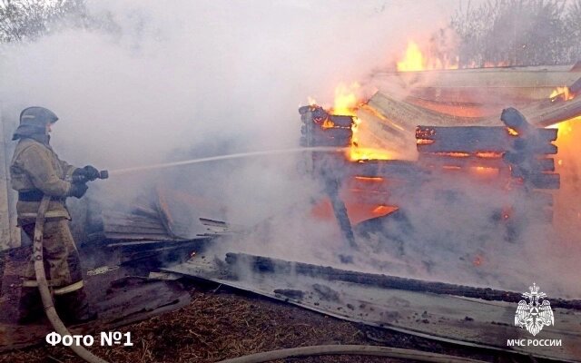    Фото: пресс-служба МЧС России по Томской области