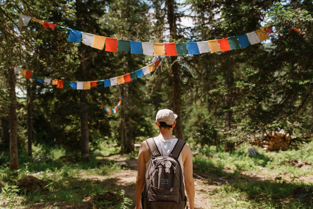 Прогулка в таежном лесу - 