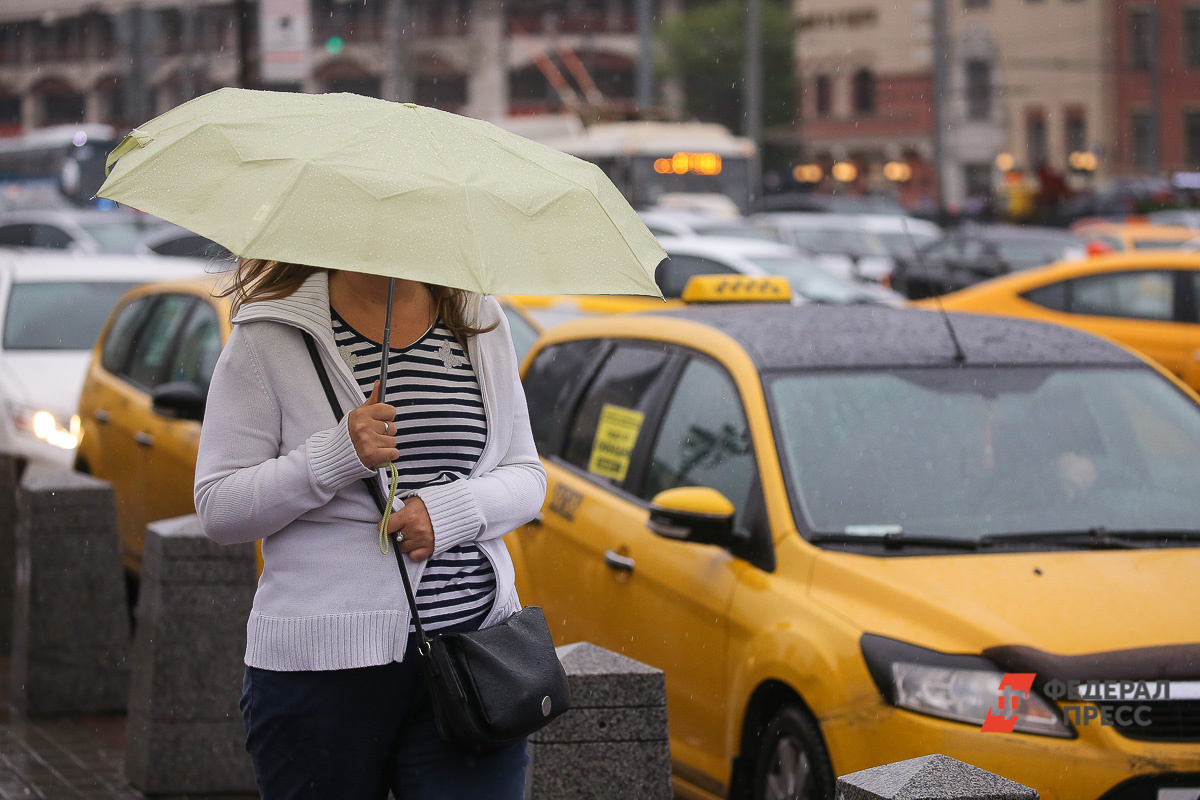 Почти половину всего автопарка региона составляют автомобили Toyota.  Фото: Фото: ФедералПресс / Вытольский Виктор