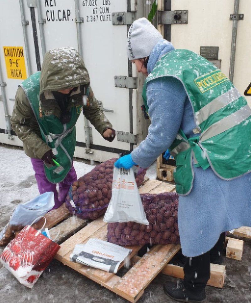 Фото: Семенной картофель из Беларуси на Камчатке / Россельхознадзор