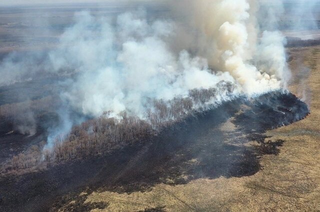    Фото: Муравьевский парк
