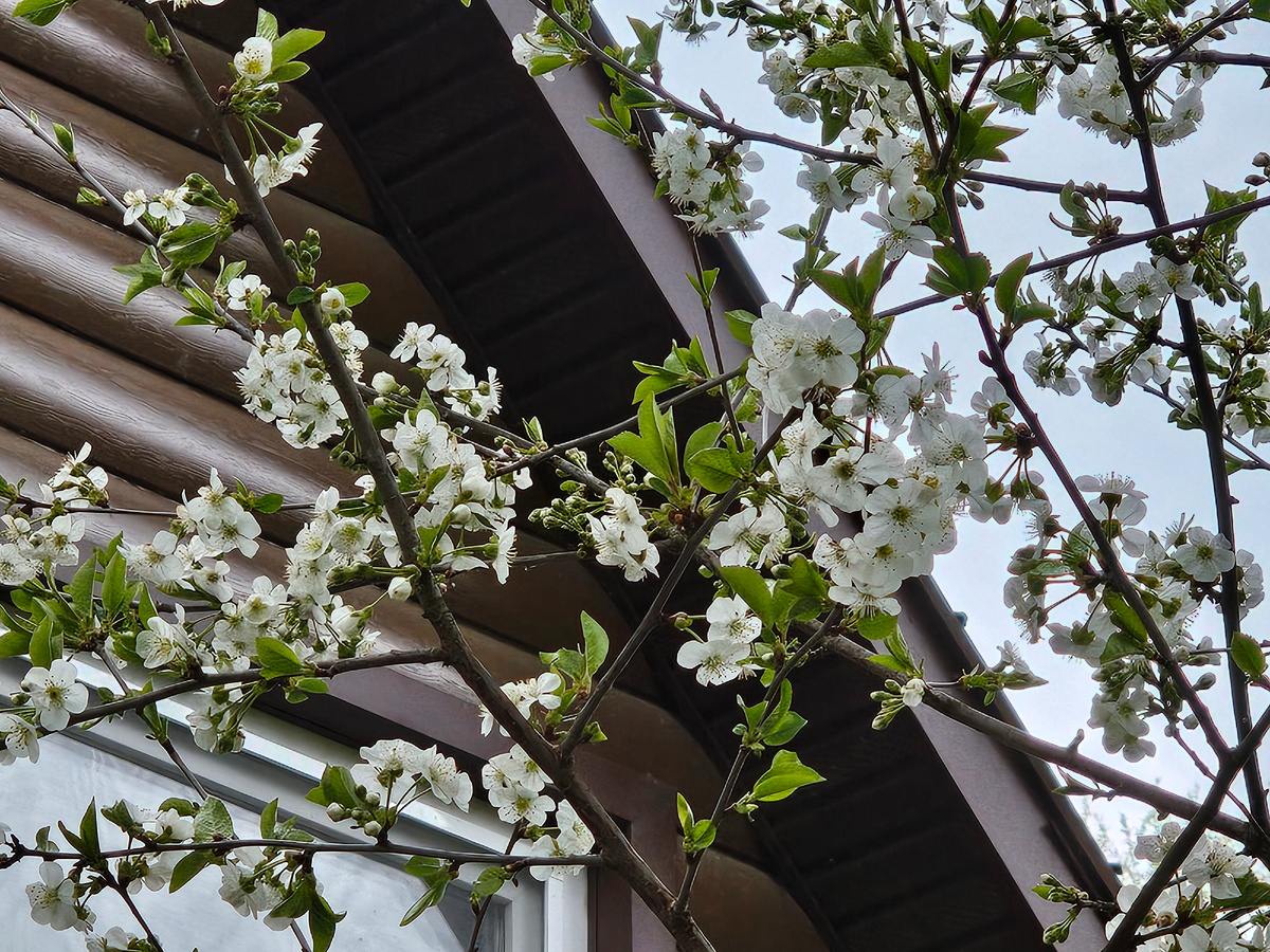 Все фото автора.