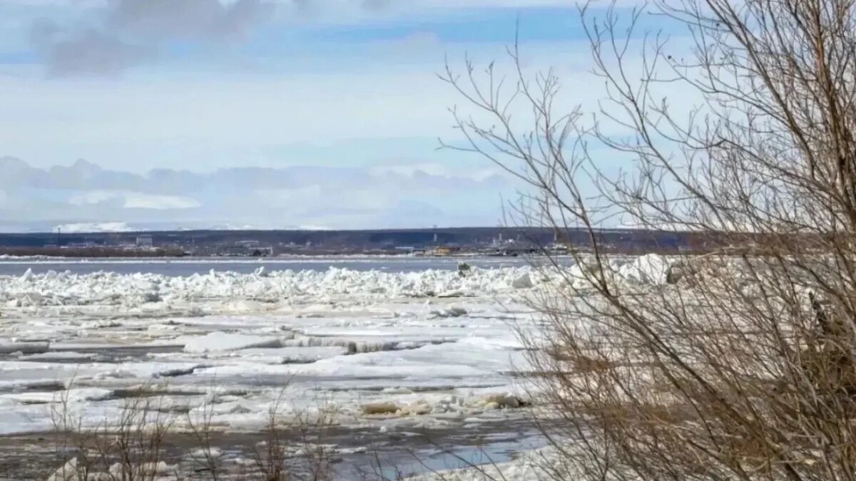    Ледоход пришел на Ямал 12 мая. Фото: Фёдор Воронов / «Ямал-Медиа»
