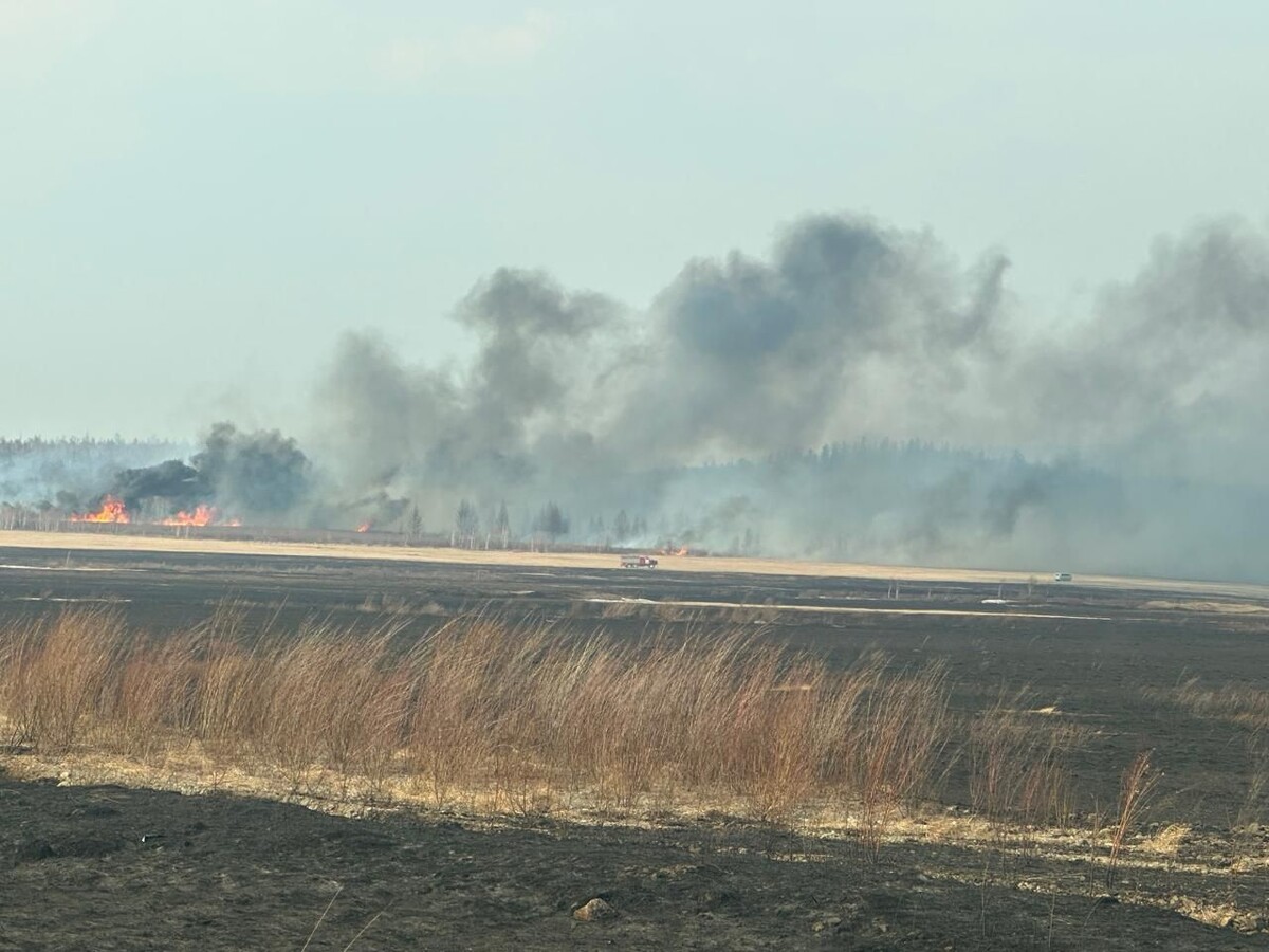    Фото: Пресс-служба Минприроды Забайкалья