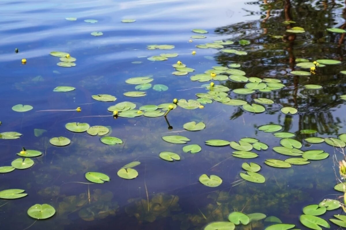    В Тюмени старт купального сезона запланирован на 20 мая