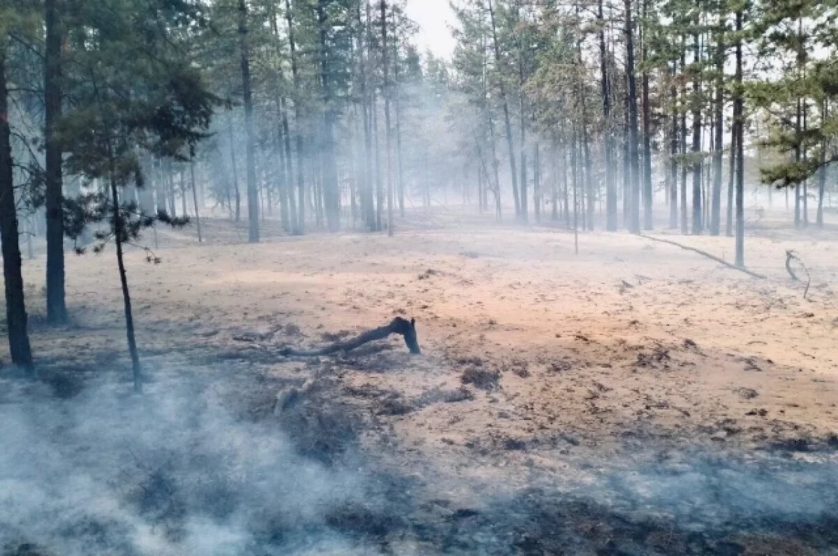    В Бурятии за сутки ликвидированы лесные пожары на площади в 16,6 тыс. га