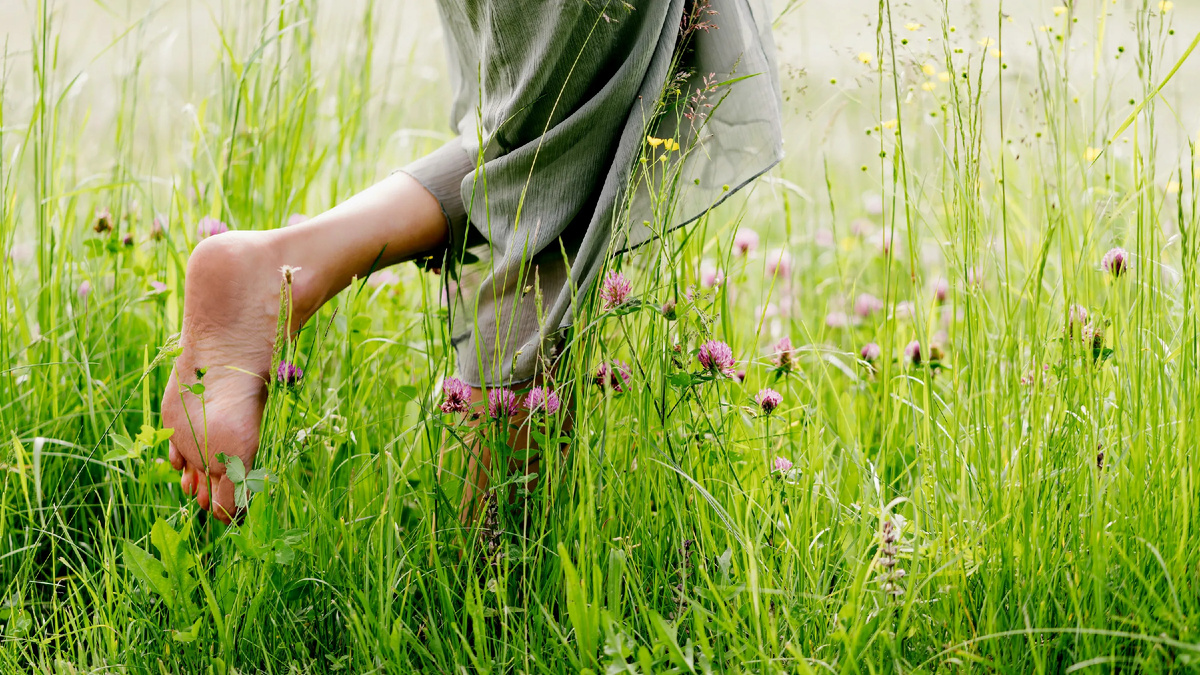 картинка из интернета