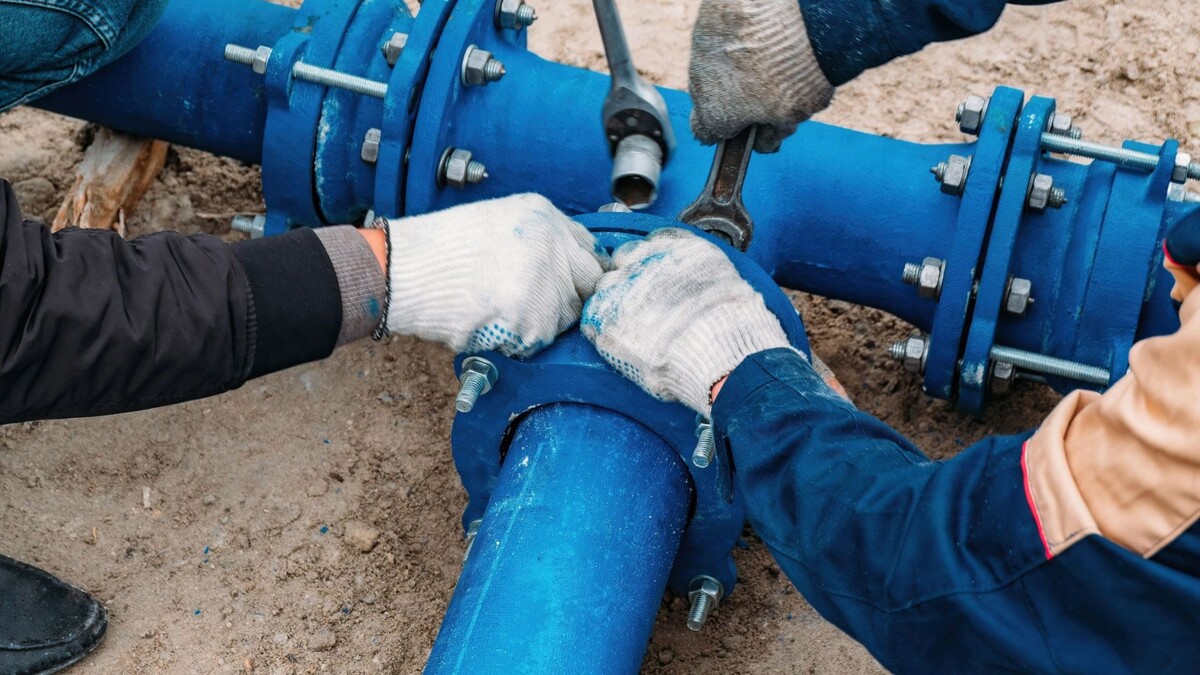    Фото: Vladimir Mulder/Shutterstock/Fotodom