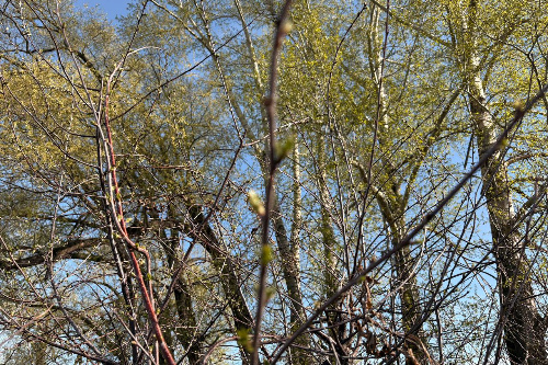    Фото: Прецедент