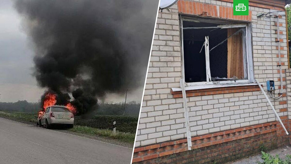    Фото: vvgladkov / t.me