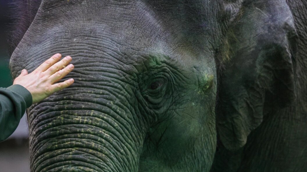    Фото: Shatokhina Natalia/Globallookpress