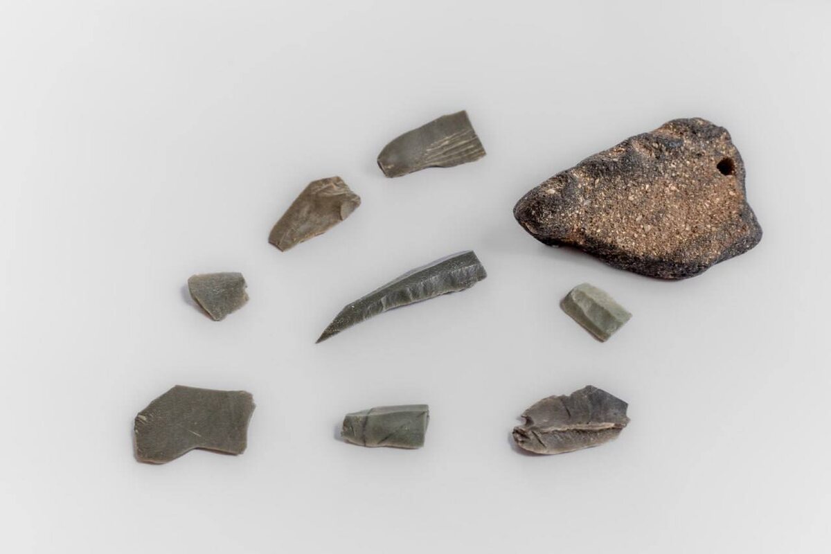 Как сообщили в ФГБУ «Заповедное Подлеморье», инструмент был создан из кремня, его режущая кромка сохранила остроту. 