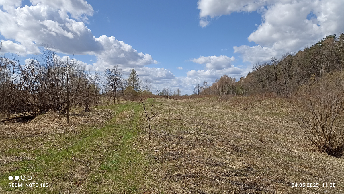 Облака над лугом. Фото автора.