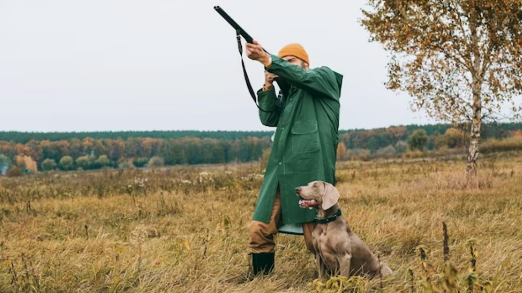    Начал работу новый цифровой сервис «Охота в Югре»