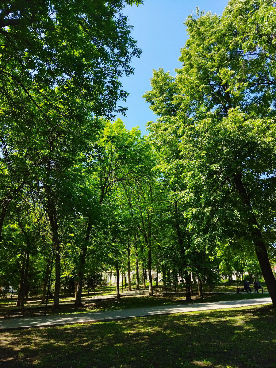 Фото автора. 