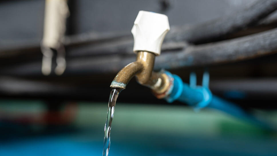 Фото: Олег Харсеев / Коммерсантъ